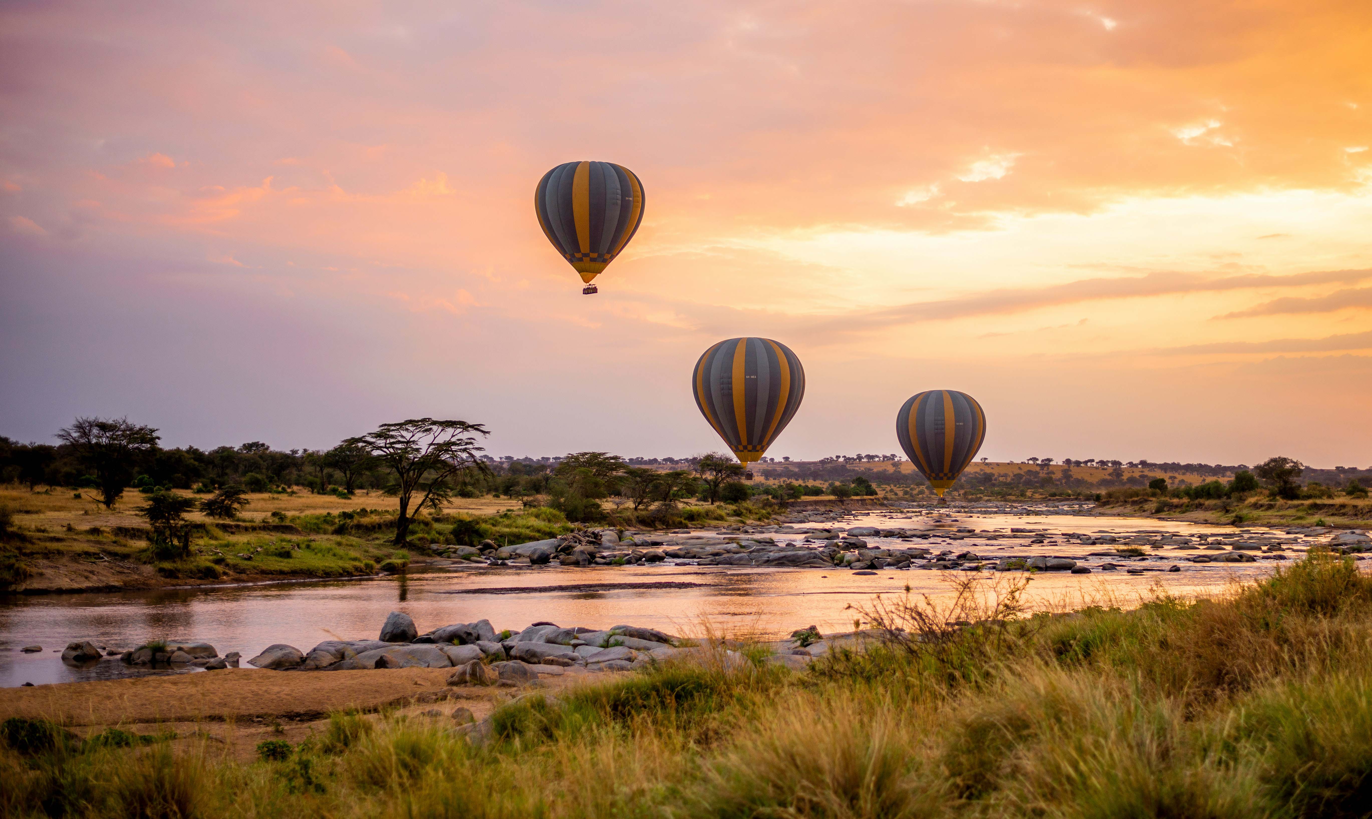 Luxury safari lodge