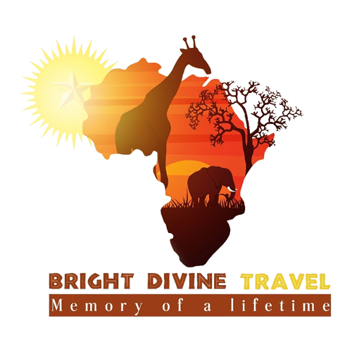 Bright Divine Travel logo